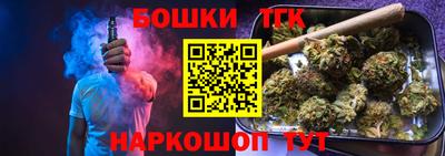 мдпв Бийск