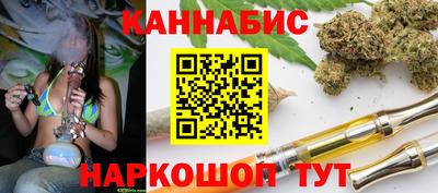 мдпв Бийск