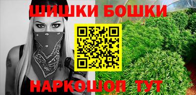 мдпв Бийск