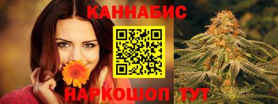 мдпв Бийск
