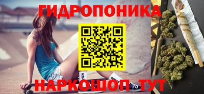 мдпв Бийск