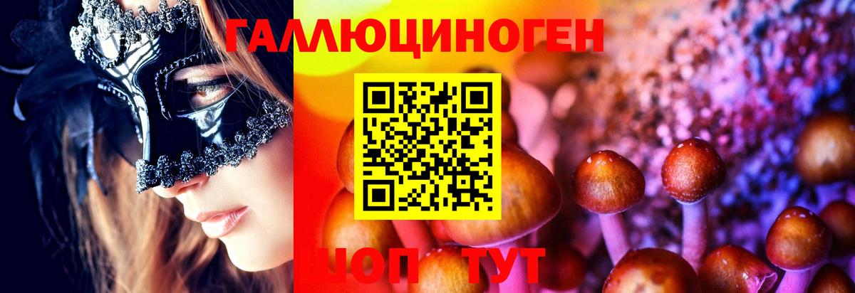 Галлюциногенные грибы Psilocybine cubensis  Галлюциногенные грибы мухоморы  Вход с VPN  Волгоград 