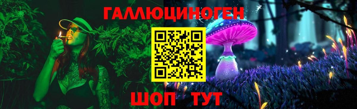 Галлюциногенные грибы GOLDEN TEACHER Волгоград